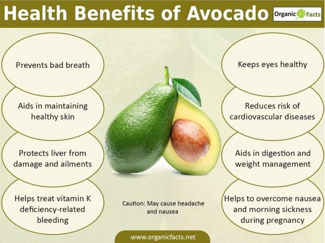 6 Health Benefits of Avocados