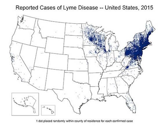 morgellons disease map