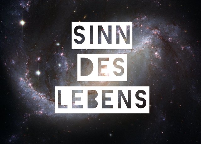 sinn-des-lebens.jpg