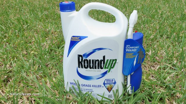 Editorial-Use-RoundUp-Herbicide.jpg