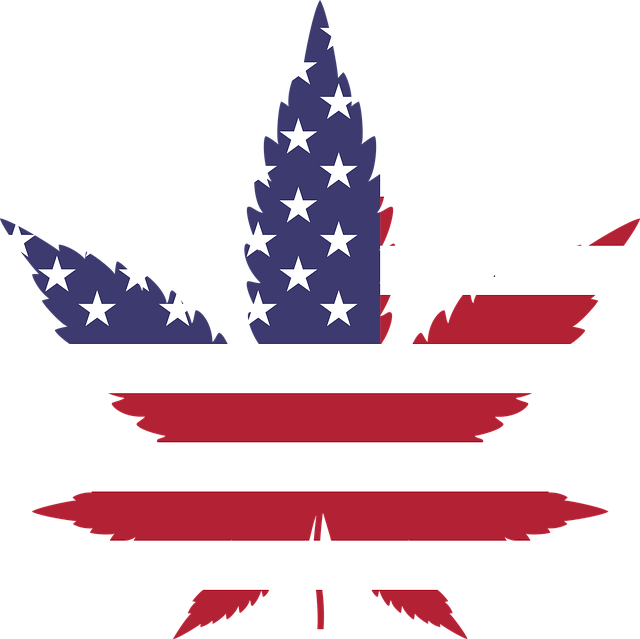 marijuana-2766322_640-2.png