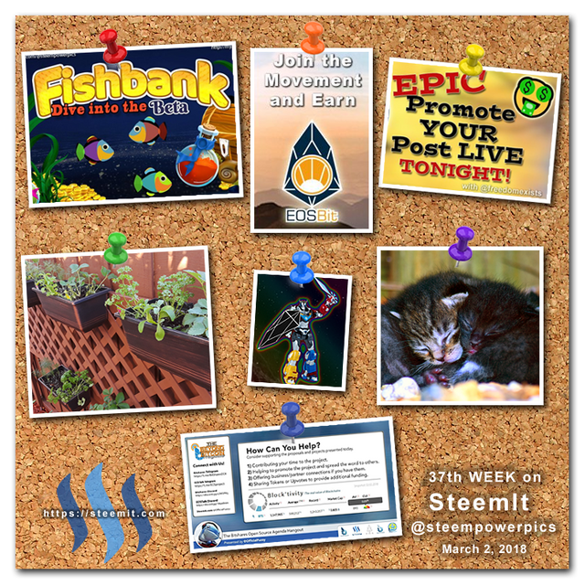 RainbowChallengeBoard-Week-37-SteemPowerPics.png