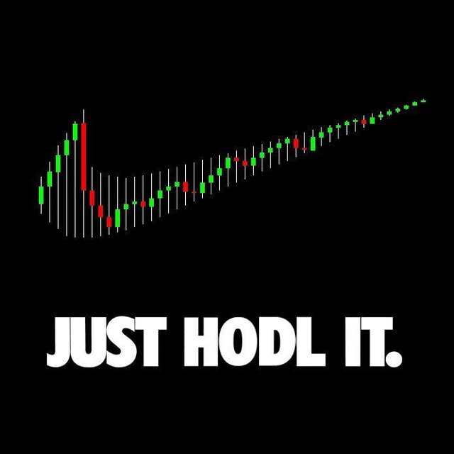 hodl.jpeg