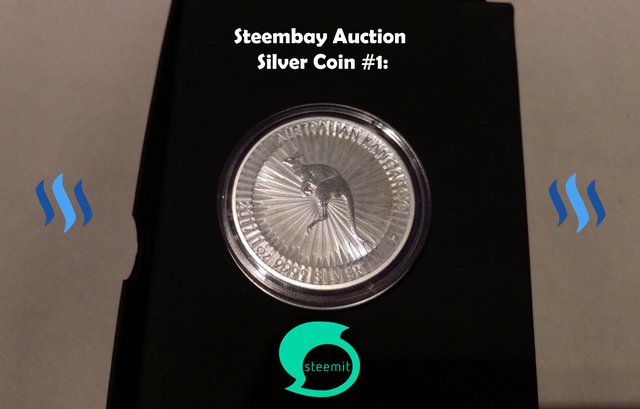 steembay-silver-coin1_01.jpg