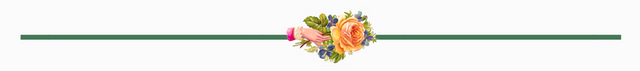 border hand and rose.png