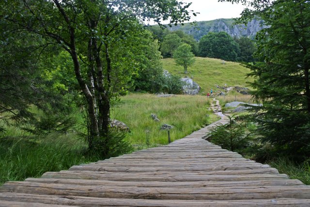 depuis le pont.JPG