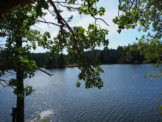 thetis-lake-regional.jpg