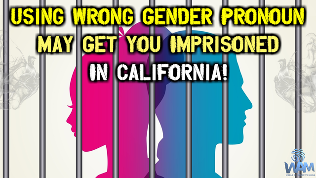 using wrong gender pronoun may get you imprisoned in california thumbnail.png