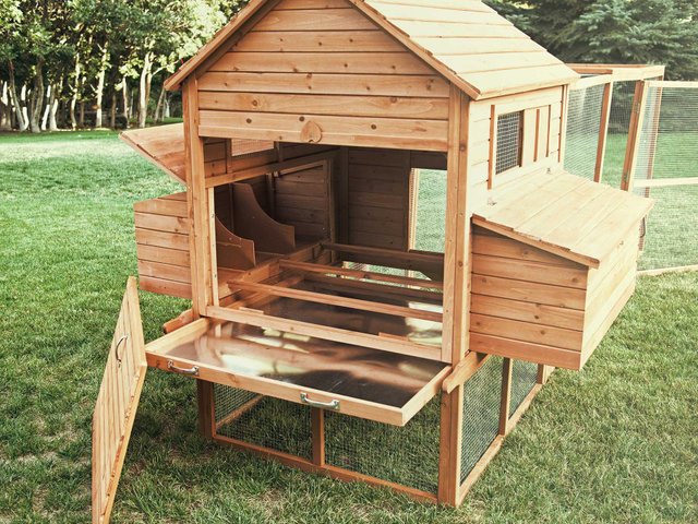 product-image-ranch-chicken-coop-14_1800x.jpg