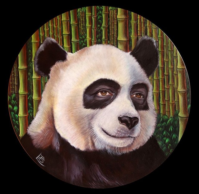 LibaWS panda Stefan WEB.jpg
