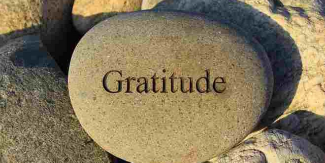 gratitude