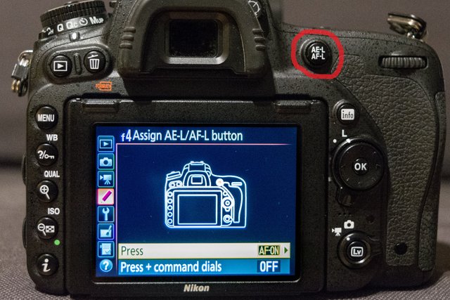 Back Button 2.jpg