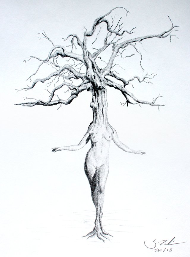 The Tree of Life.jpg