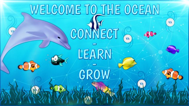 learn to ocean.jpg