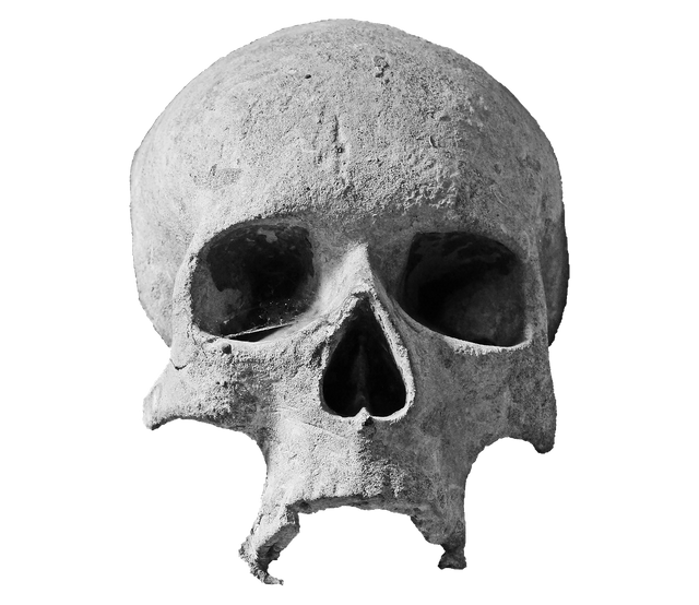 skull-2636836_1280 (1).png