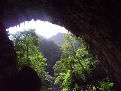 cueva el Guacharo.jpg