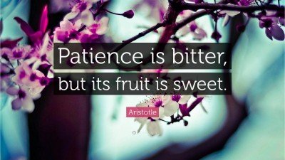 16817-Aristotle-Quote-Patience-is-bitter-but-its-fruit-is-sweet.jpg