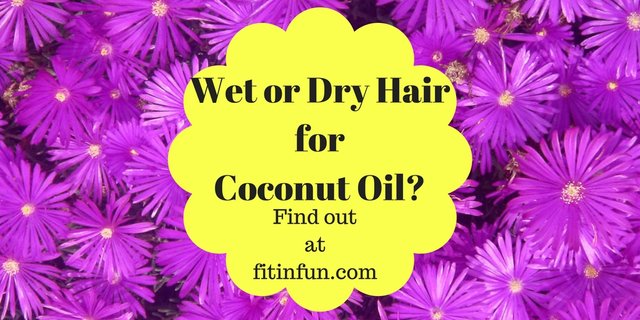 tweet Wet or Dry Hair for Coconut Oil-.jpg