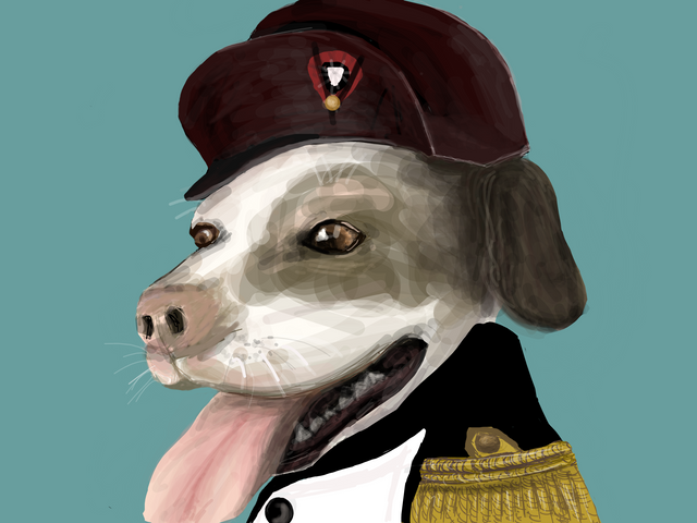 Napoleon dog.png