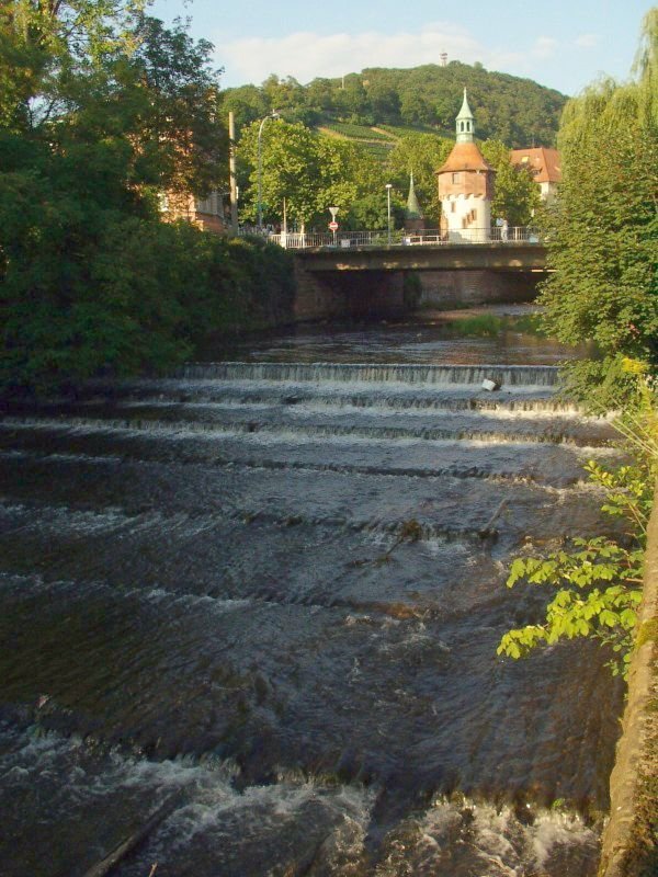 2017-09 - Dreisam Freiburg.jpg