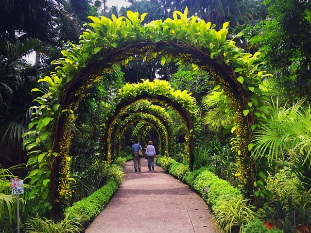 Singapore Botanic Gardens Entrance Fee | Fasci Garden