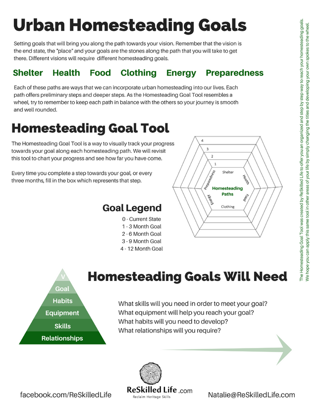 Vision and Goals Handout 2.png