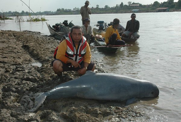 Hewan Langka di Indonesia 10.jpg