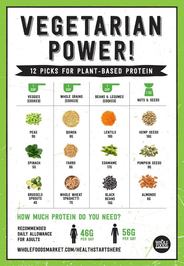 Plant-Based-Protein-Power.jpg