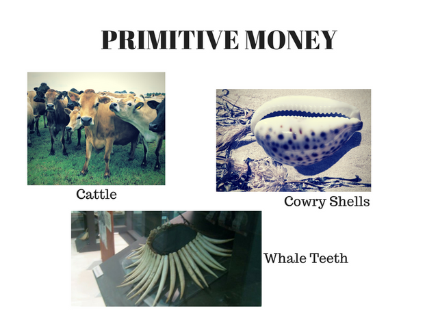 primitive money.png