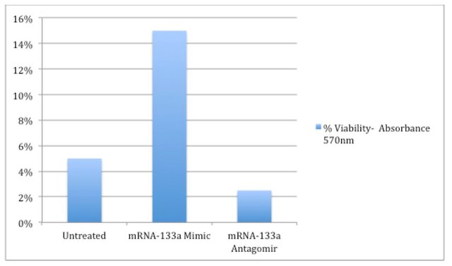 Figure 1.jpg