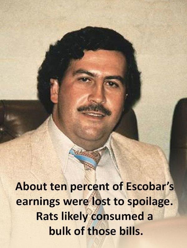 pablo-escobar-cocaine.jpg