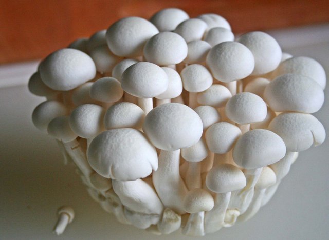 White beech mushrooms.jpg