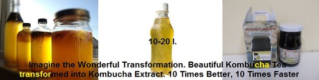 KOMBUCHA.jpg