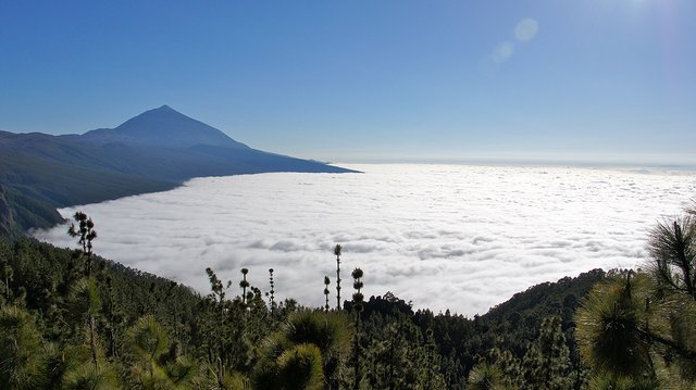 Mar de Nubes.jpg