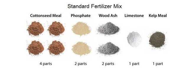 Homemade-fertilizers.jpg