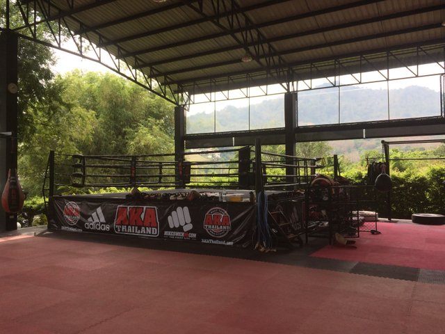 A guide to the best Muay Thai gyms in Phuket, Chalong – FIGHTDAY