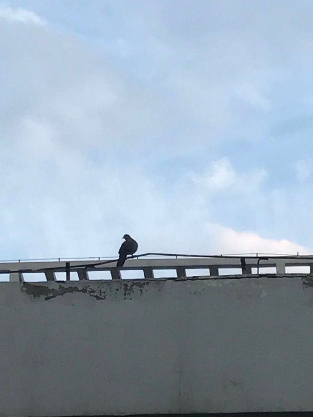 微信图片_20180501005838.jpg