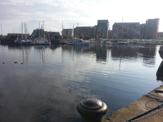 docks2.jpg