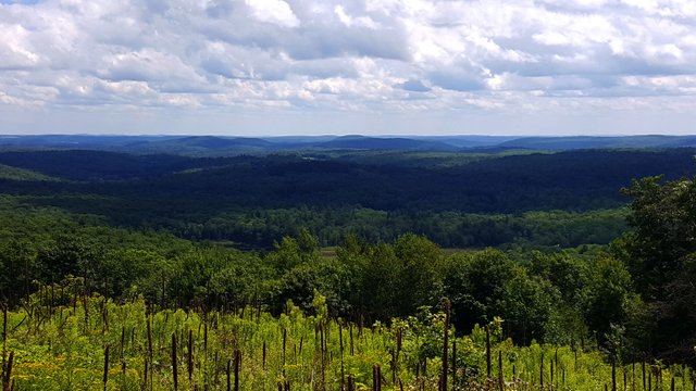 20160711_200741.jpg