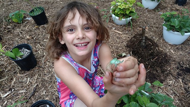 a-little-bluer-in-the-garden.jpg