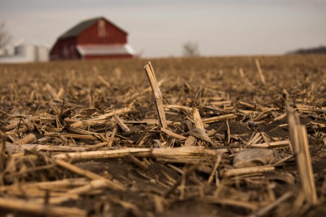 Barn 20-23.jpg