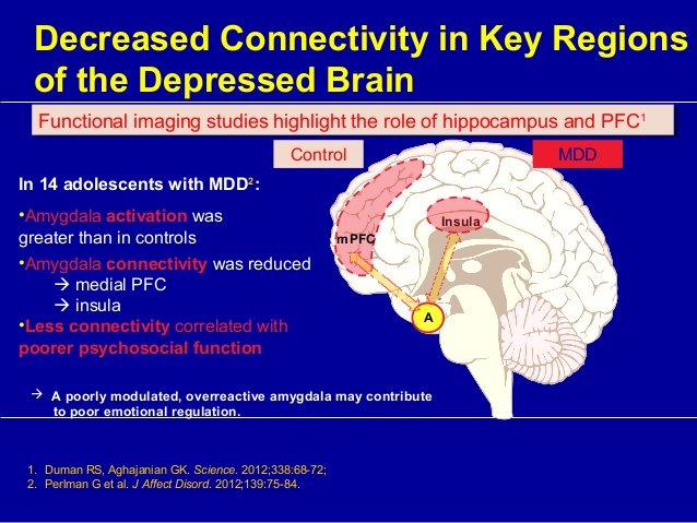 hanipsych-updates-on-neurobiology-and-neurotoxicity-of-depression-22-638.jpg