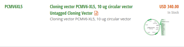 pCMV6-XL5.png