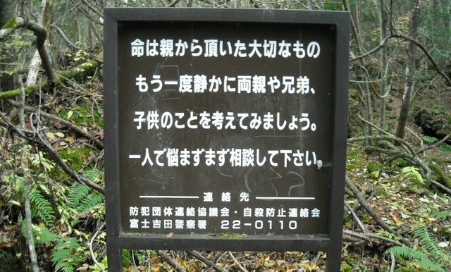 warning-sign-in-japanese-about-aokigahara-forest.jpg