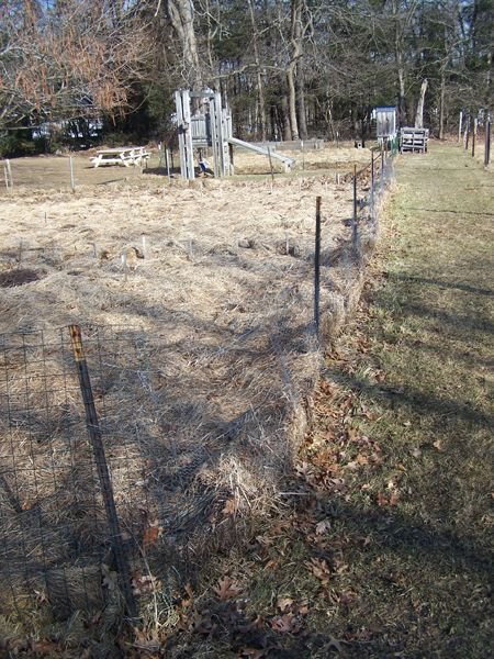 Big garden - fence before1 crop Feb. 2018.jpg