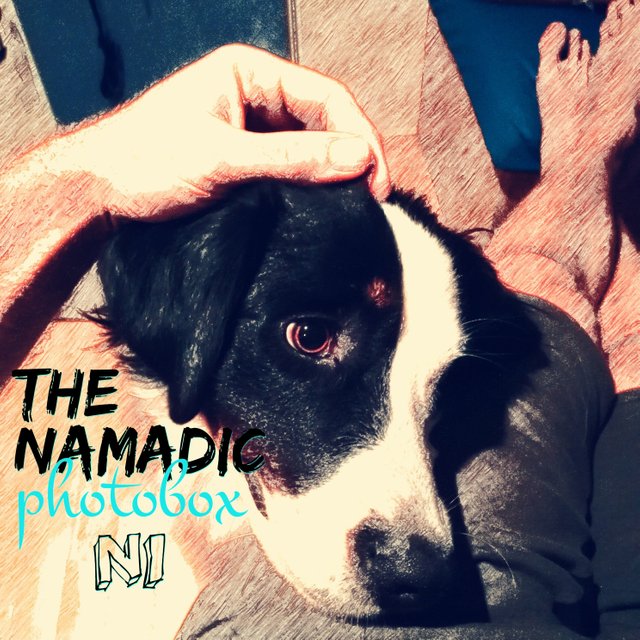 namadic photobox 1.jpg