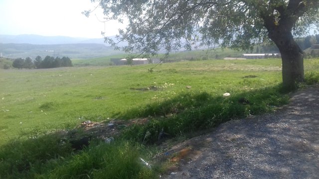 20180422_153209.jpg