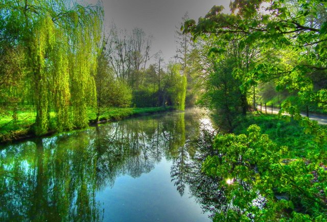 rivers-reflection-serenity-green-willow-stream-summer-pretty-branches-sky-spring-leaves-beautiful-trees-calm-river-lake-shore-nice-quiet-nature-creek-riverbank-wallpaper-1591x1080.jpg