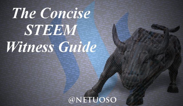 concise-steem-witness-guide.png