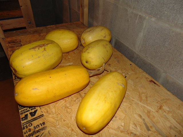 DSC00357.JPG